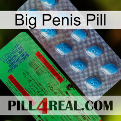 Big Penis Pill new03